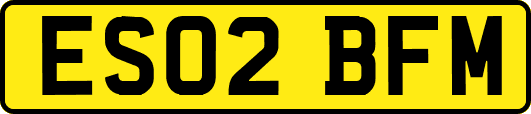 ES02BFM