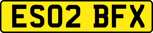 ES02BFX