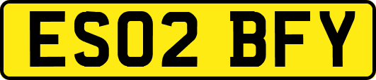 ES02BFY