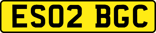 ES02BGC
