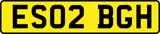 ES02BGH