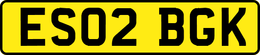 ES02BGK