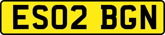 ES02BGN