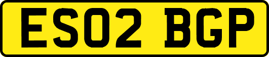 ES02BGP