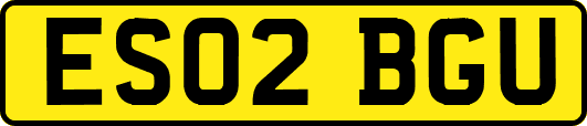 ES02BGU