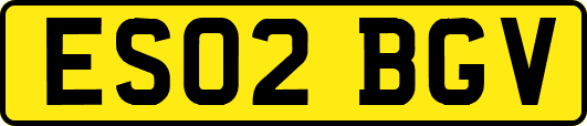 ES02BGV