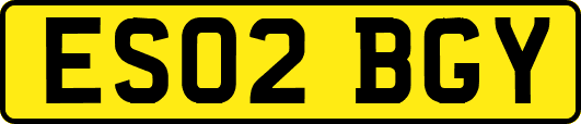 ES02BGY