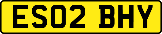ES02BHY