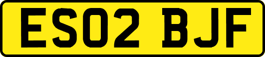 ES02BJF