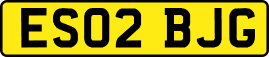 ES02BJG