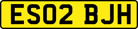 ES02BJH