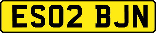 ES02BJN