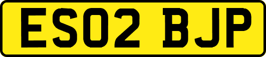 ES02BJP