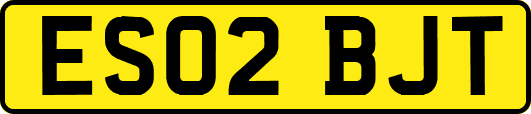 ES02BJT
