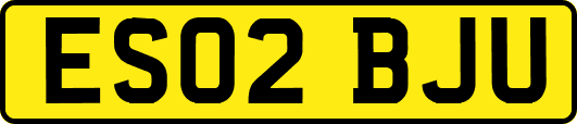ES02BJU