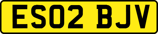 ES02BJV