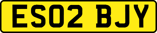 ES02BJY