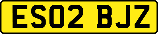 ES02BJZ