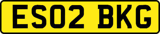 ES02BKG