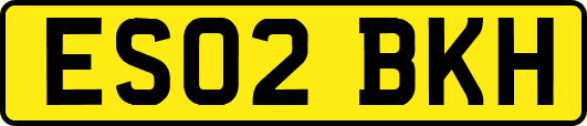 ES02BKH