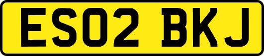 ES02BKJ