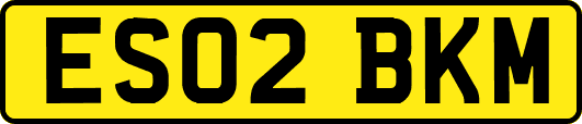 ES02BKM