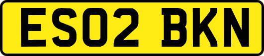 ES02BKN