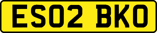 ES02BKO