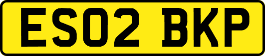 ES02BKP