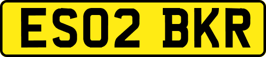 ES02BKR