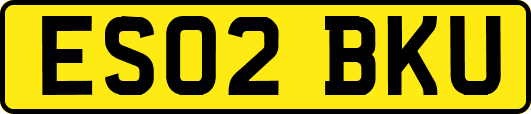 ES02BKU