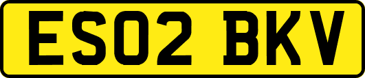 ES02BKV