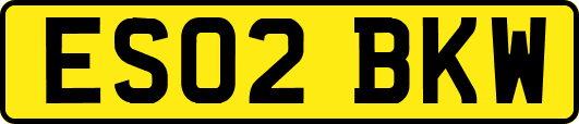 ES02BKW