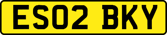 ES02BKY