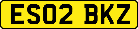 ES02BKZ
