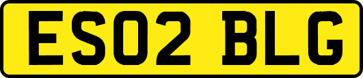 ES02BLG
