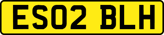 ES02BLH