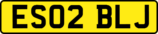 ES02BLJ