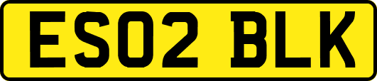 ES02BLK