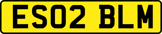 ES02BLM