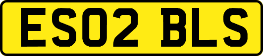 ES02BLS