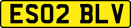 ES02BLV