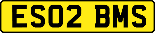 ES02BMS