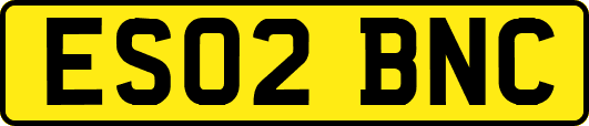 ES02BNC
