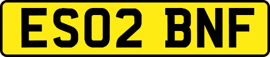 ES02BNF