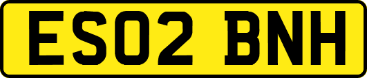 ES02BNH
