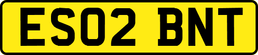 ES02BNT