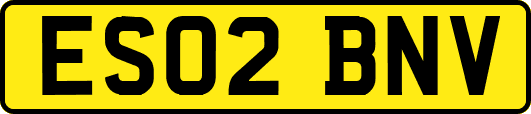 ES02BNV