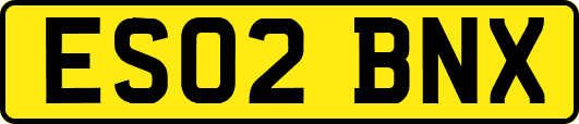 ES02BNX