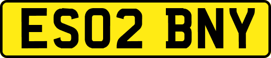 ES02BNY